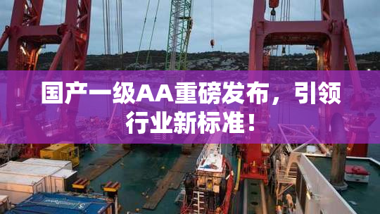 国产一级AA重磅发布，引领行业新标准！