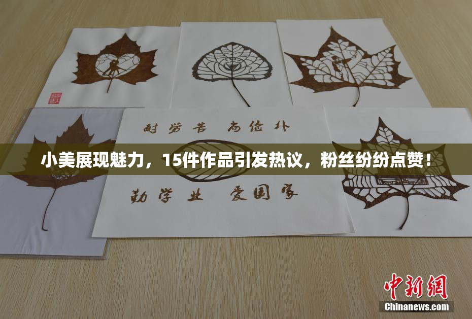 小美展现魅力，15件作品引发热议，粉丝纷纷点赞！