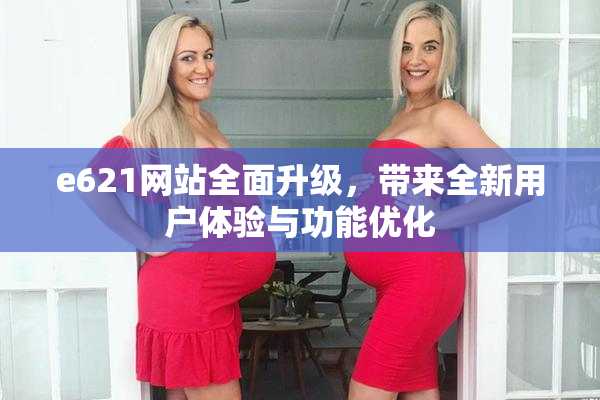 e621网站全面升级，带来全新用户体验与功能优化