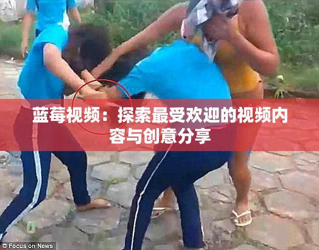 蓝莓视频：探索最受欢迎的视频内容与创意分享