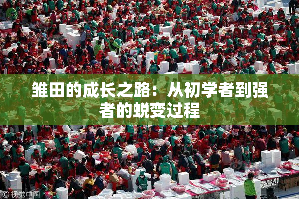 雏田的成长之路：从初学者到强者的蜕变过程