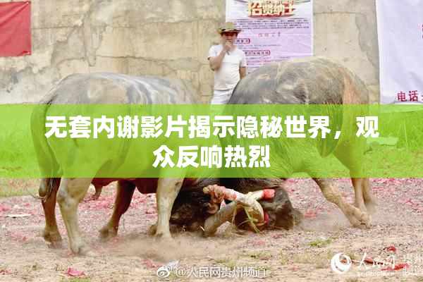 无套内谢影片揭示隐秘世界，观众反响热烈