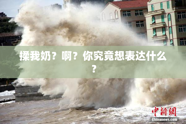 揉我奶？啊？你究竟想表达什么？