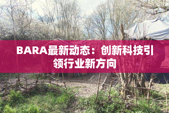 BARA最新动态：创新科技引领行业新方向