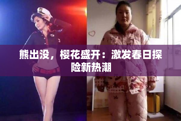 熊出没，樱花盛开：激发春日探险新热潮