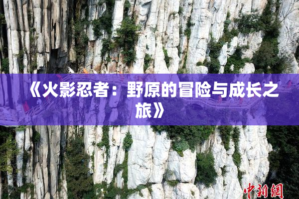 《火影忍者：野原的冒险与成长之旅》