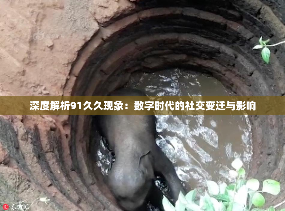 深度解析91久久现象：数字时代的社交变迁与影响