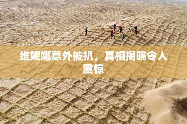 维妮娜意外被扒，真相揭晓令人震惊