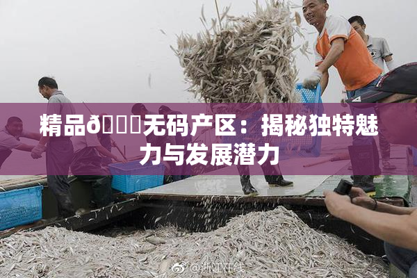 精品🌃无码产区：揭秘独特魅力与发展潜力