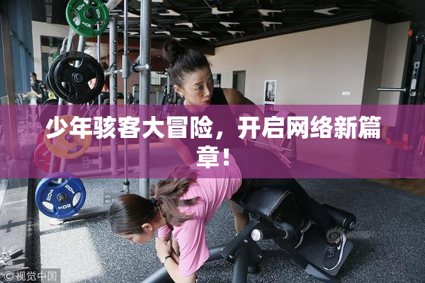 少年骇客大冒险，开启网络新篇章！