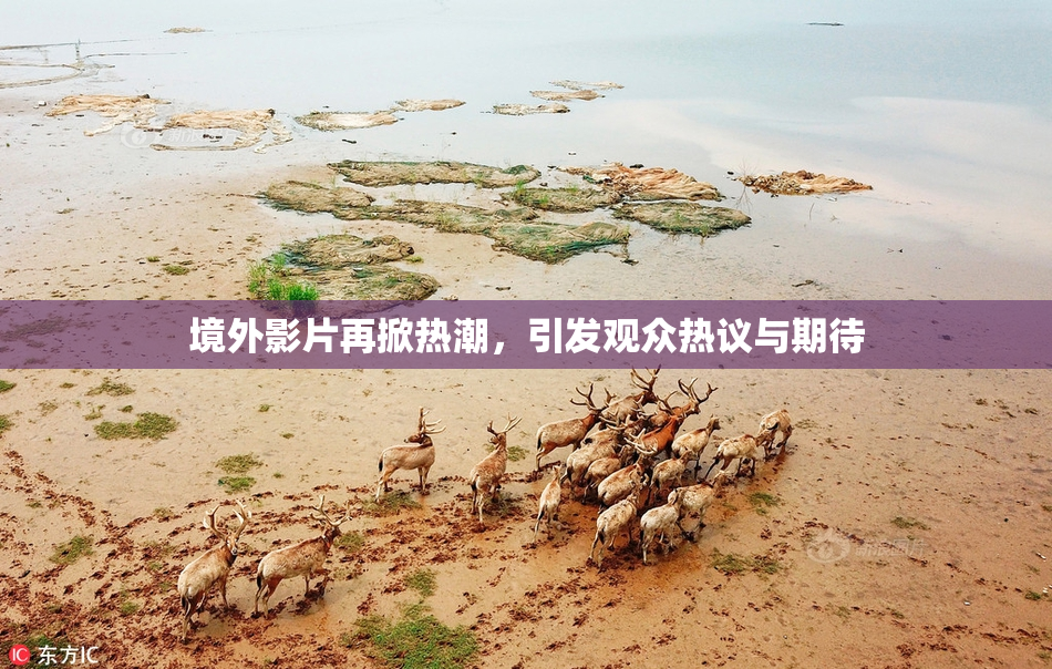 境外影片再掀热潮，引发观众热议与期待