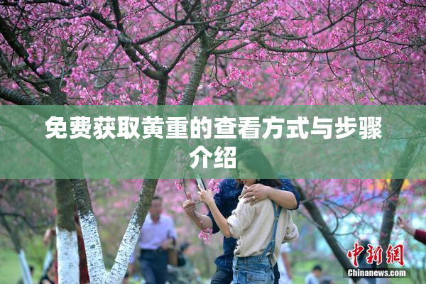 免费获取黄重的查看方式与步骤介绍