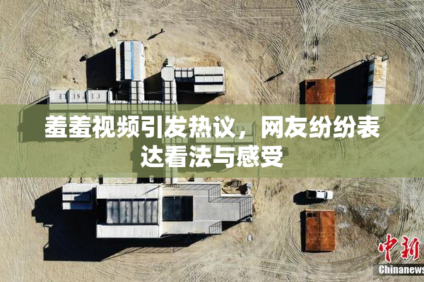 羞羞视频引发热议，网友纷纷表达看法与感受