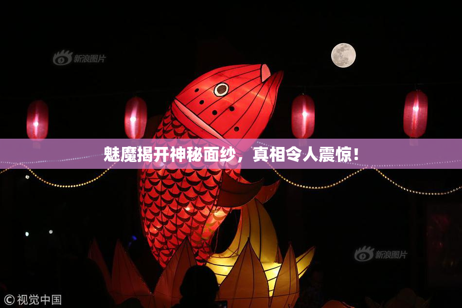 魅魔揭开神秘面纱，真相令人震惊！