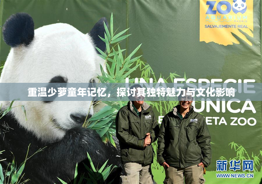 重温少萝童年记忆，探讨其独特魅力与文化影响