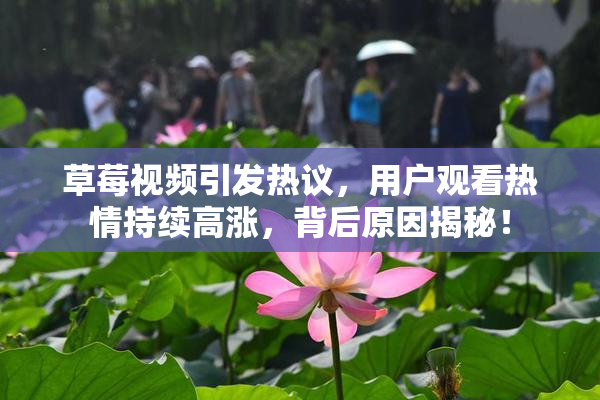 草莓视频引发热议，用户观看热情持续高涨，背后原因揭秘！