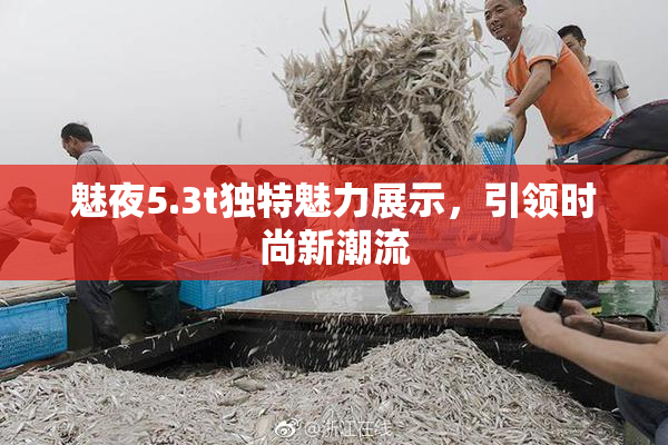 魅夜5.3t独特魅力展示，引领时尚新潮流