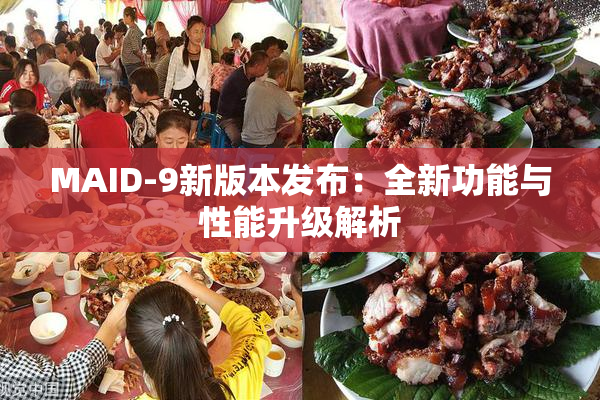 MAID-9新版本发布：全新功能与性能升级解析