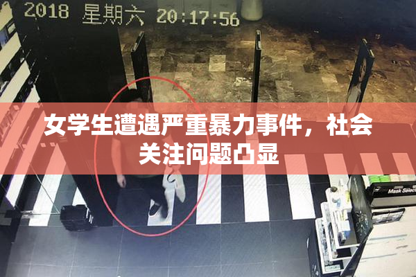 女学生遭遇严重暴力事件，社会关注问题凸显