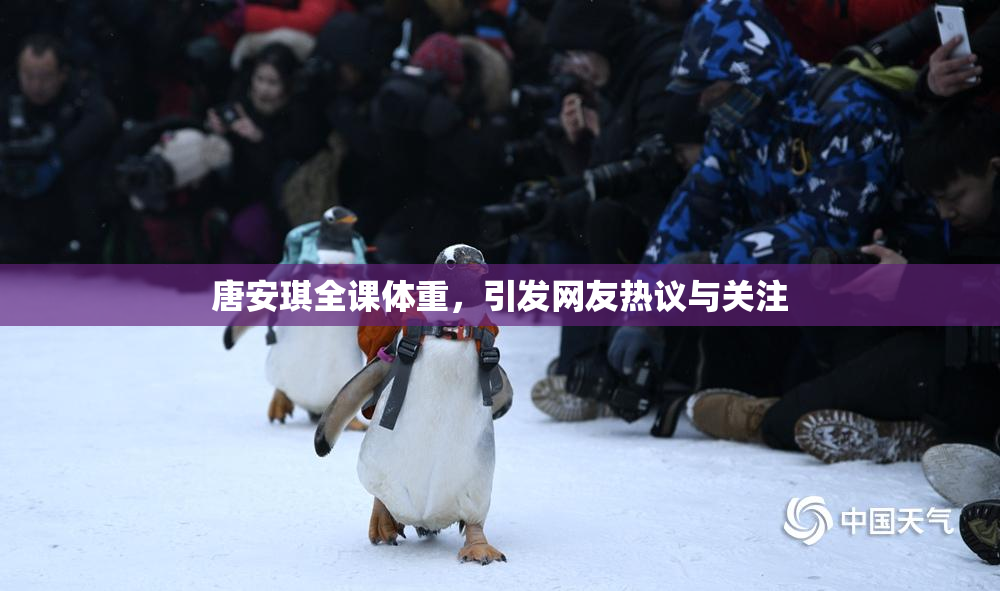 唐安琪全课体重，引发网友热议与关注