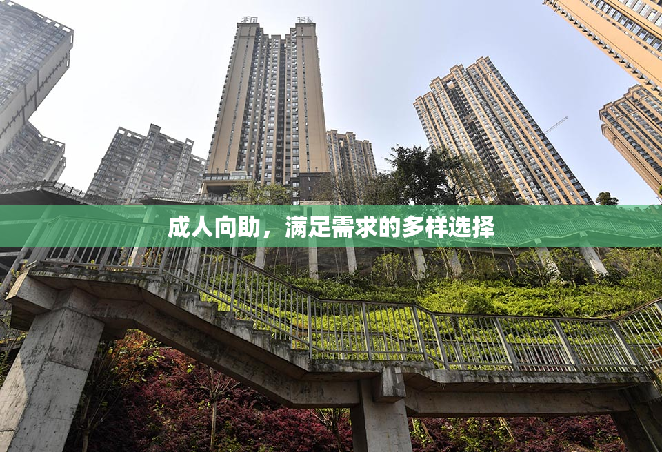 成人向助，满足需求的多样选择