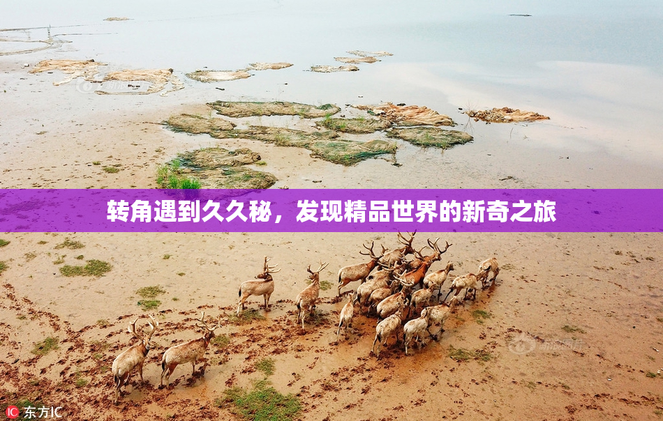 转角遇到久久秘，发现精品世界的新奇之旅