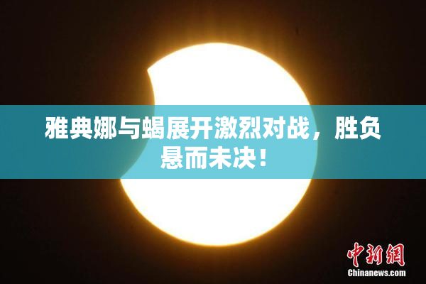 雅典娜与蝎展开激烈对战，胜负悬而未决！