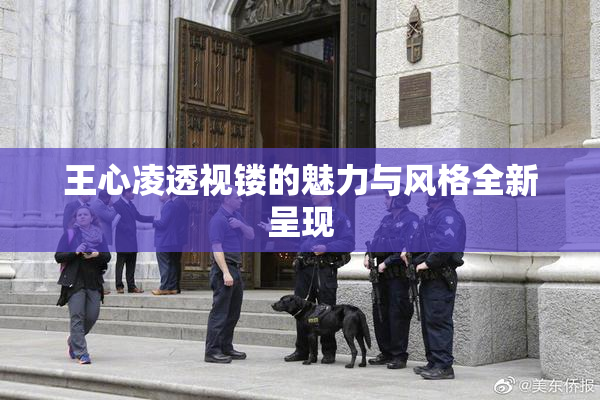 王心凌透视镂的魅力与风格全新呈现