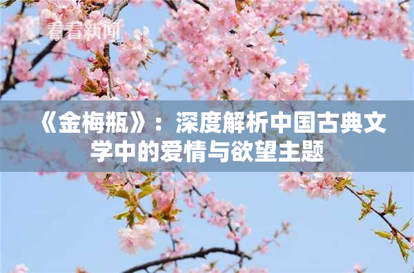 《金梅瓶》：深度解析中国古典文学中的爱情与欲望主题