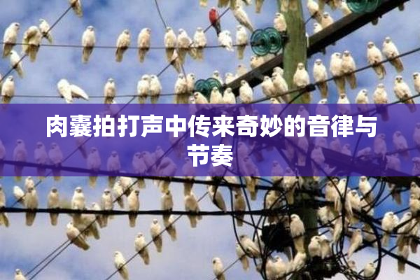 肉囊拍打声中传来奇妙的音律与节奏