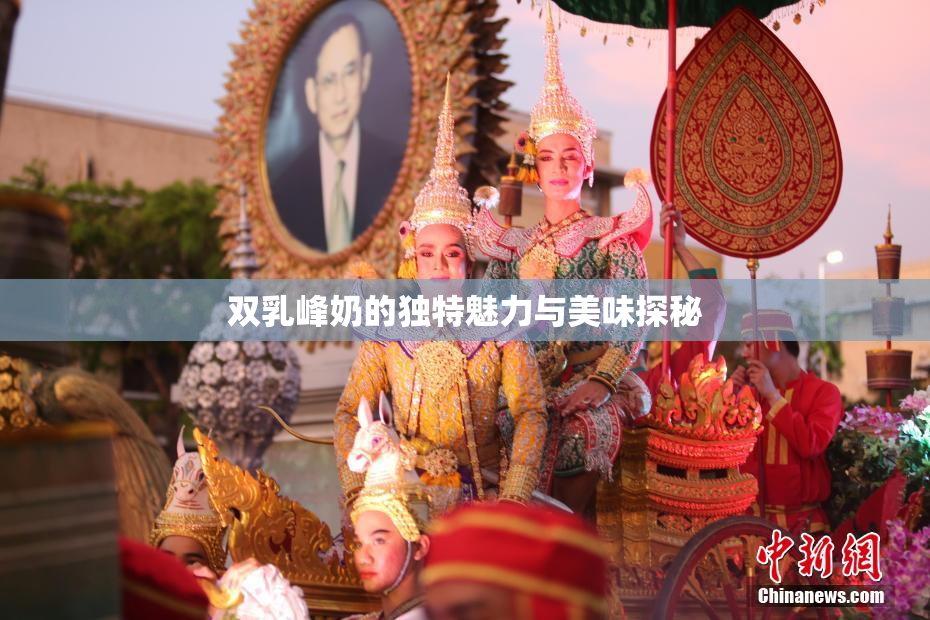 双乳峰奶的独特魅力与美味探秘