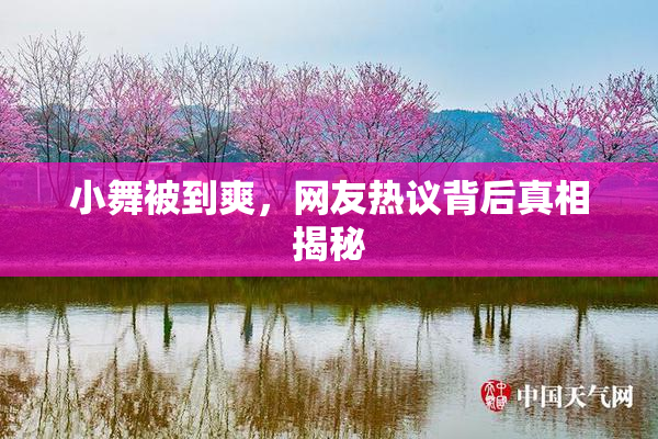 小舞被到爽，网友热议背后真相揭秘