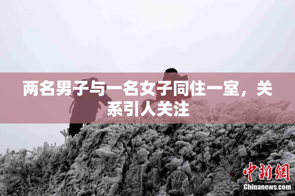 两名男子与一名女子同住一室，关系引人关注
