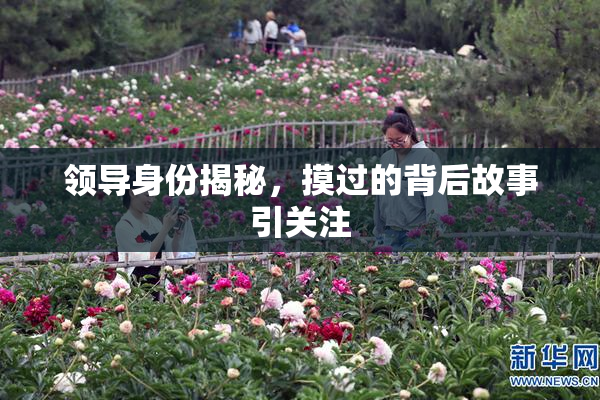 领导身份揭秘，摸过的背后故事引关注