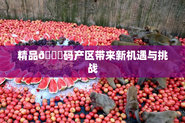 精品🈚码产区带来新机遇与挑战