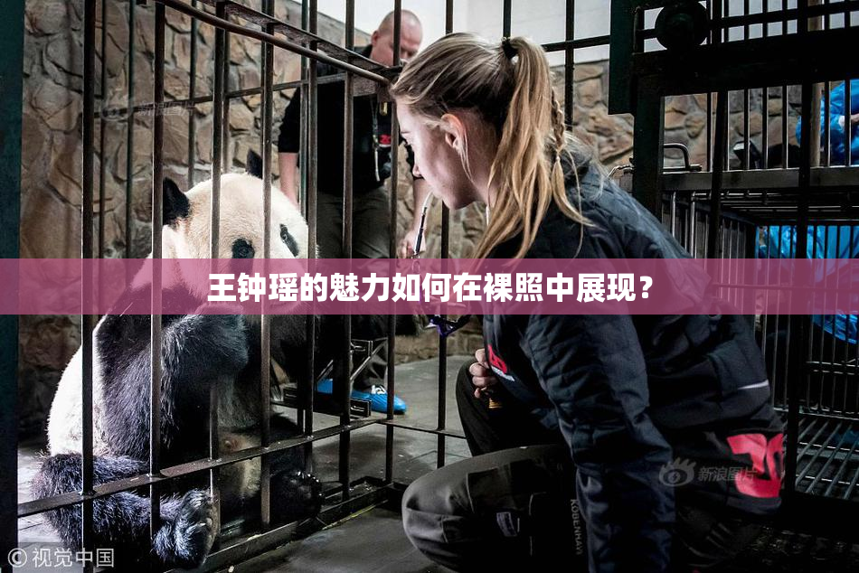 王钟瑶的魅力如何在裸照中展现？