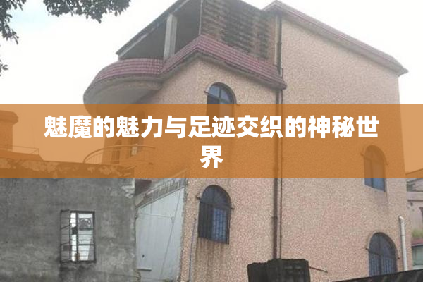 魅魔的魅力与足迹交织的神秘世界