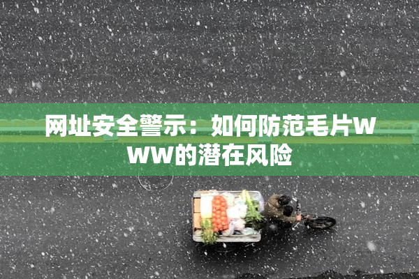 网址安全警示：如何防范毛片WWW的潜在风险