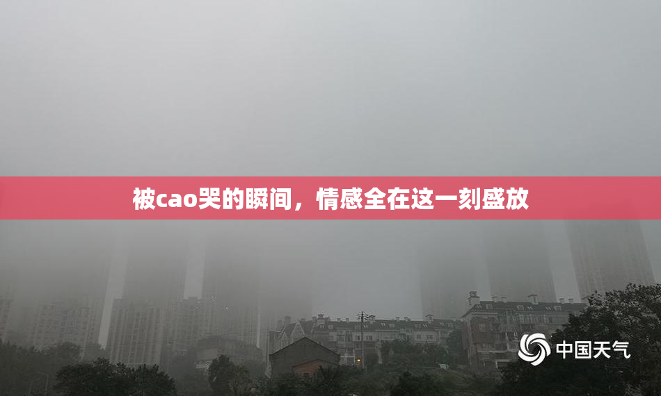 被cao哭的瞬间，情感全在这一刻盛放