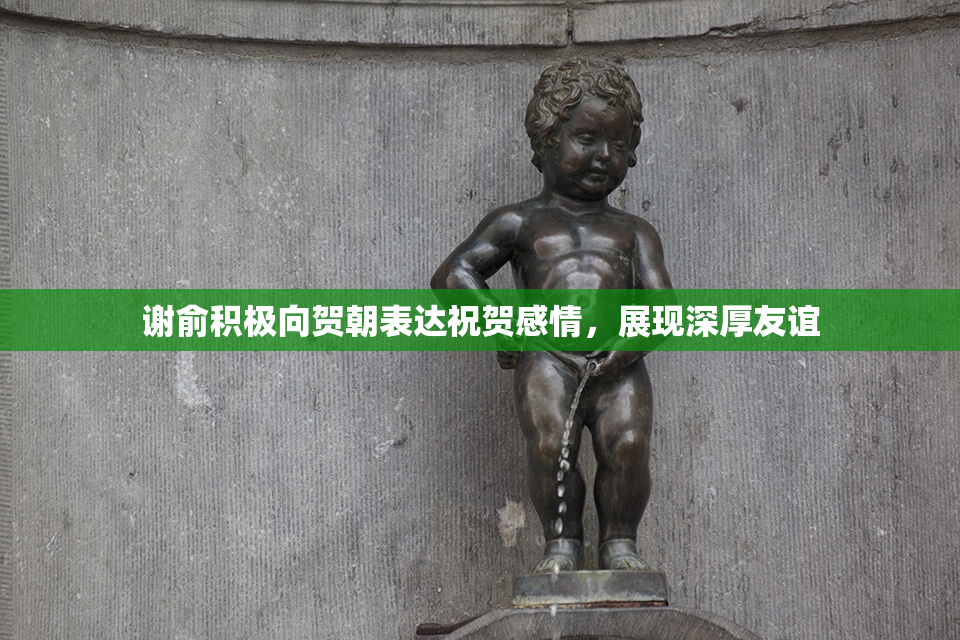 谢俞积极向贺朝表达祝贺感情，展现深厚友谊