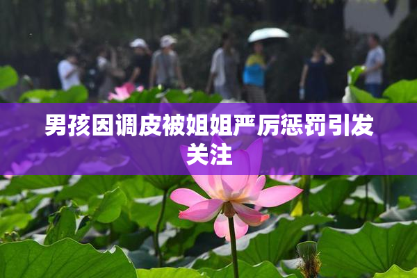 男孩因调皮被姐姐严厉惩罚引发关注
