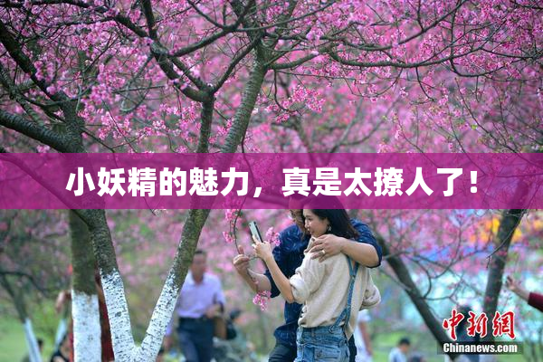 小妖精的魅力，真是太撩人了！