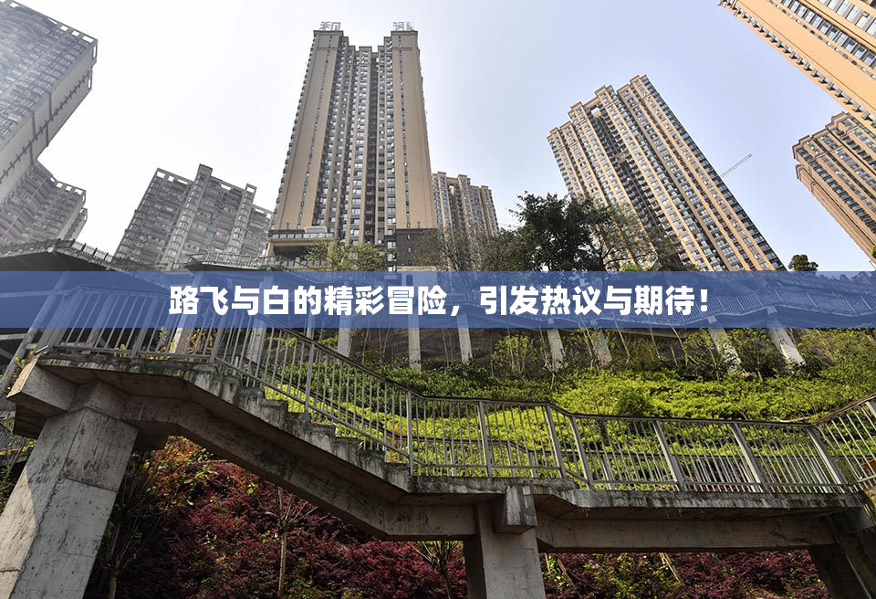 路飞与白的精彩冒险，引发热议与期待！