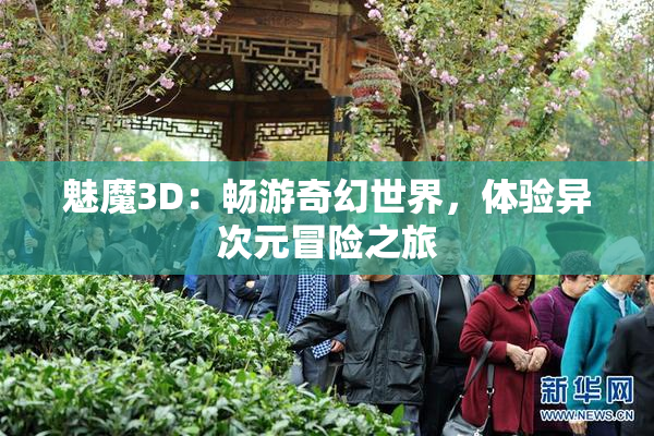 魅魔3D：畅游奇幻世界，体验异次元冒险之旅
