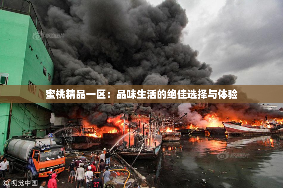 蜜桃精品一区：品味生活的绝佳选择与体验