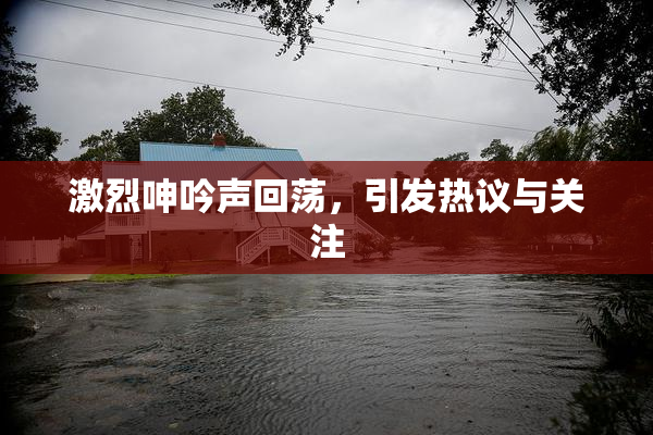 激烈呻吟声回荡，引发热议与关注