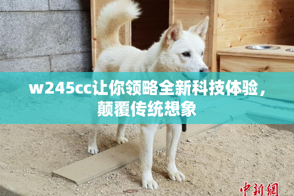 w245cc让你领略全新科技体验，颠覆传统想象