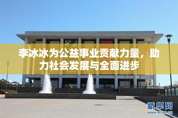 李冰冰为公益事业贡献力量，助力社会发展与全面进步
