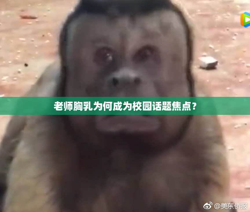 老师胸乳为何成为校园话题焦点？