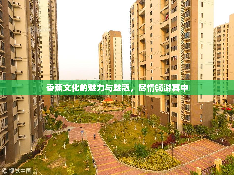 香蕉文化的魅力与魅惑，尽情畅游其中